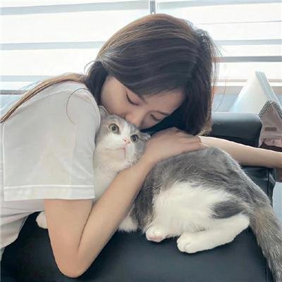 掌中明月